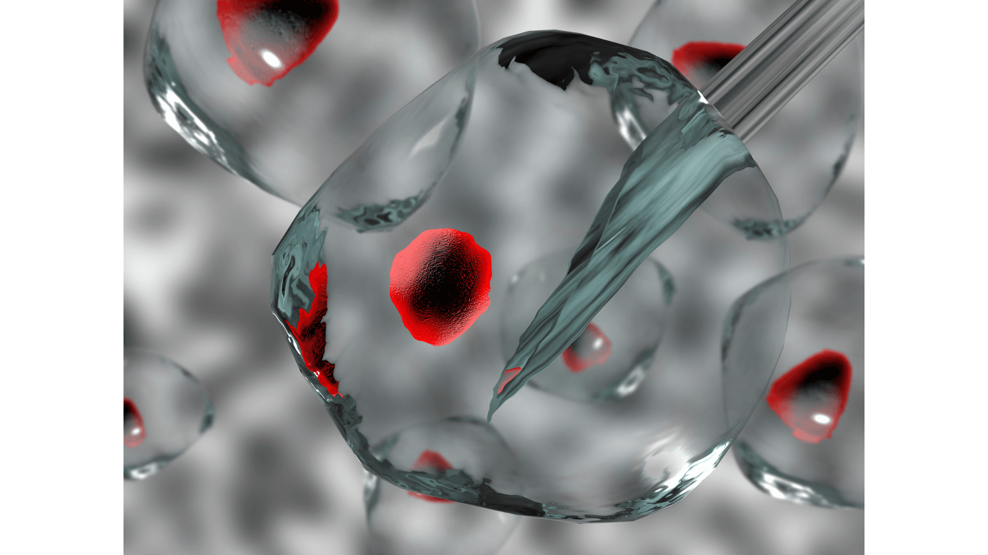 Image of a Single cell