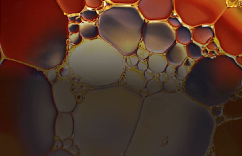 biomedical