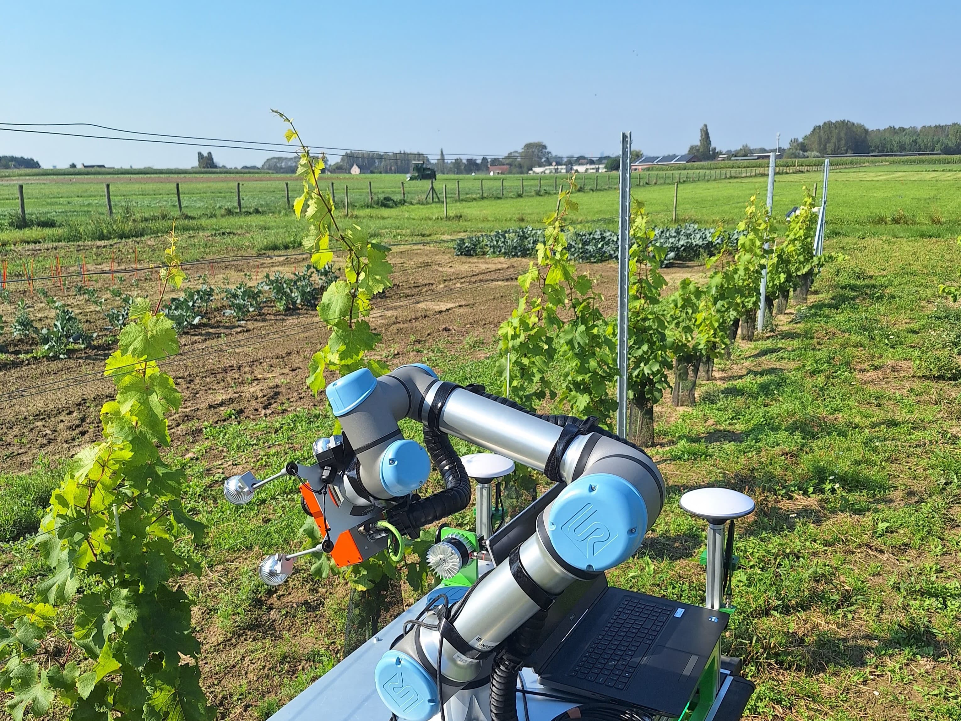 treebot-ilvo-vinyard